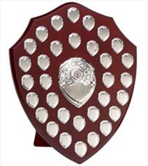 W284S Presentation Shield from Showstoppers Ltd