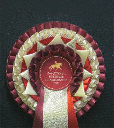 S10 Rosette from Showstoppers Rosettes