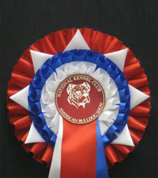 S12 rosette from showstoppers ltd rosettes and trophies