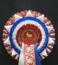 S13 rosettes from showstoppers ltd rosettes and trophies