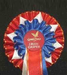 S14 rosette from showstoppers ltd rosettes and trophies