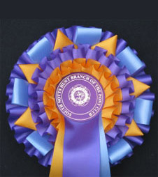 S4 Rosette from Showstoppers Rosettes