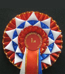 S6 Rosette from Showstoppers Rosettes