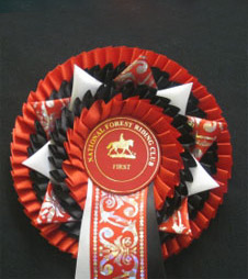 S9 Rosette from Showstoppers Rosettes