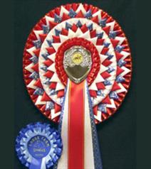 KS11 from Showstoppers Rosettes