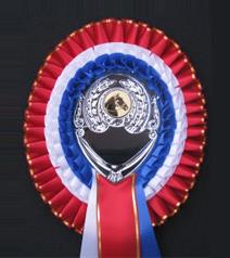 TR1 rosette from Showstoppers Rosettes