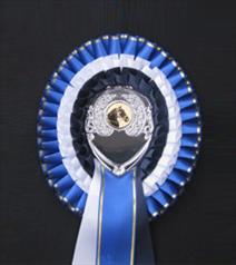 TR2 Rosette from Showstoppers Rosettes